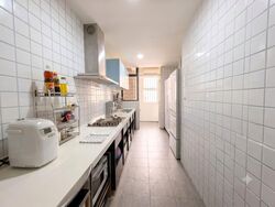 Tanglin Park (D10), Condominium #583773571